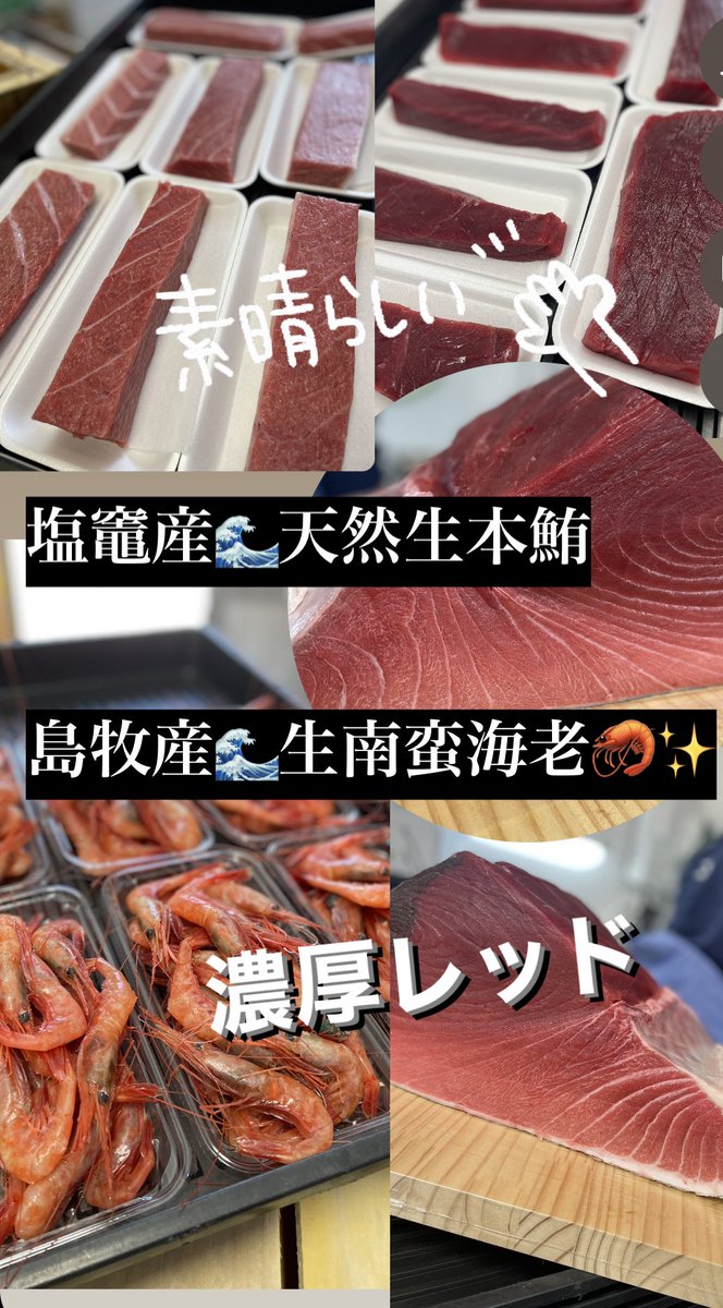 On5uHB9pGAWeqCj's tweet photo. 今日の天然生本鮪200kg級大物🤩濃厚レッド赤中大トロ有り🐟真っ赤な南蛮海老🦐に活貝類🌊活〆真サバ生おいらんがお買得🥳お刺身も地魚が激アツです❤️‍🔥自家製干物5種においらんの煮付け、落葉きのこ醤油漬け🍂なめろうなど海と山の幸でお待ちしております🌈 #登別 #まるひろ伊藤水産 #魚屋 #刺身 #干物 https://t.co/OVULvQJWhy