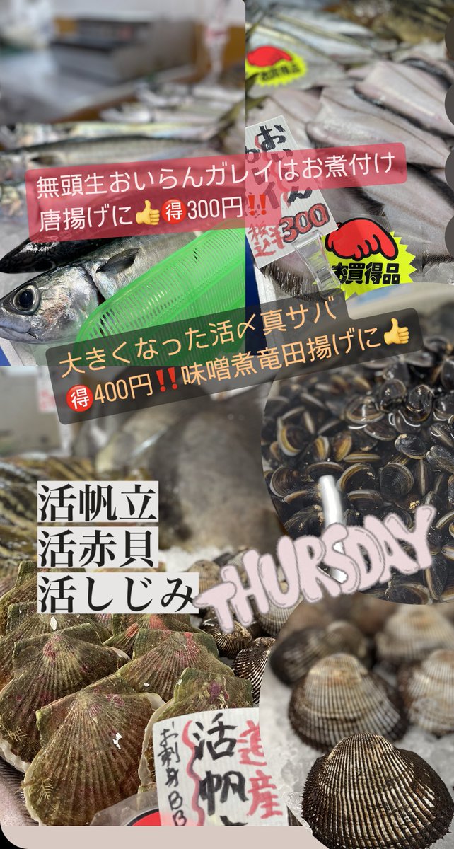 On5uHB9pGAWeqCj's tweet photo. 今日の天然生本鮪200kg級大物🤩濃厚レッド赤中大トロ有り🐟真っ赤な南蛮海老🦐に活貝類🌊活〆真サバ生おいらんがお買得🥳お刺身も地魚が激アツです❤️‍🔥自家製干物5種においらんの煮付け、落葉きのこ醤油漬け🍂なめろうなど海と山の幸でお待ちしております🌈 #登別 #まるひろ伊藤水産 #魚屋 #刺身 #干物 https://t.co/OVULvQJWhy