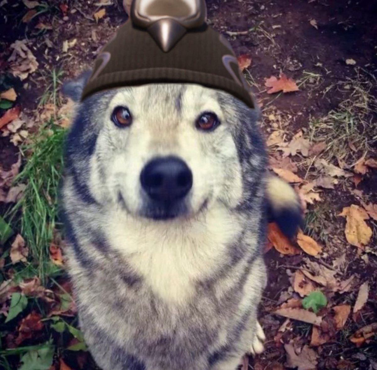 jaydiiel's tweet photo. Artis vs art 🐺 https://t.co/uF0ExneWnQ