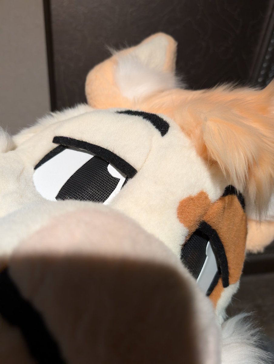 SUIT TIME
Heading down to walk around BLFC! Come find me!