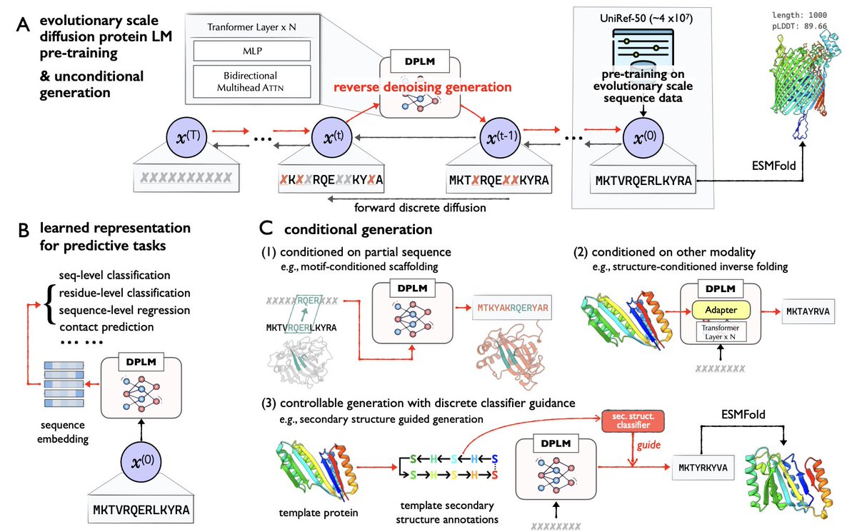 Diffusion Language Models Are Versatile Protein Learners 1. This paper ...