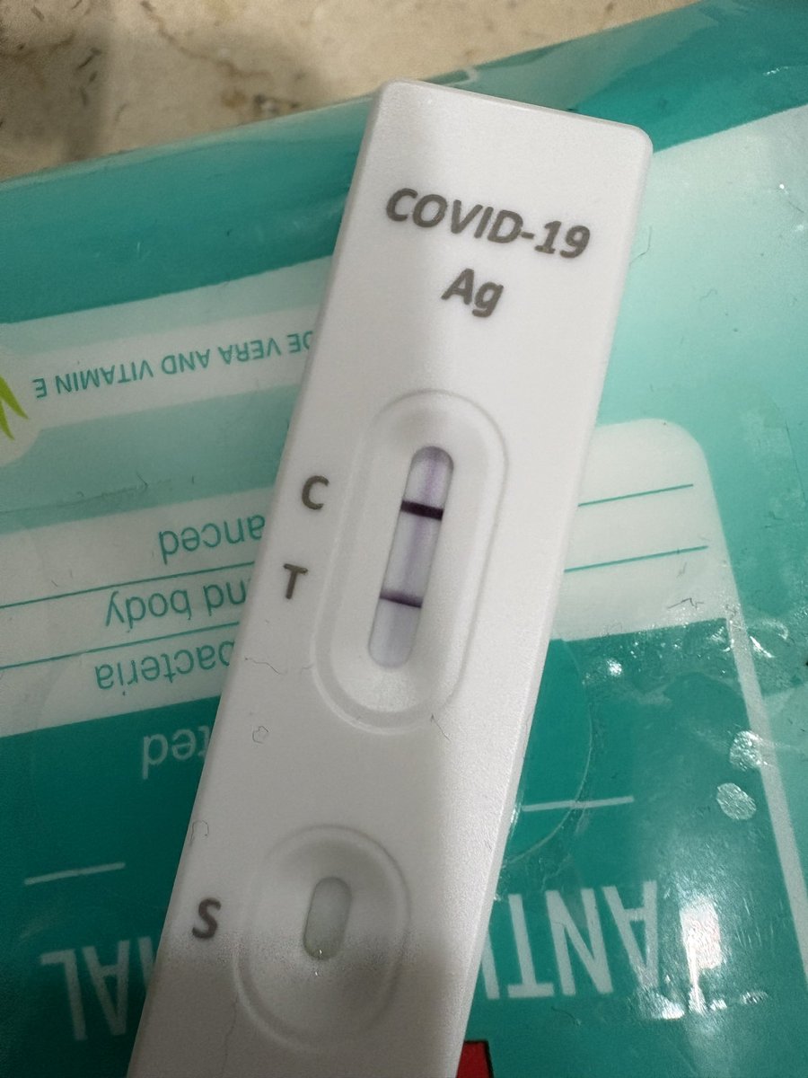 Celestor tweet media