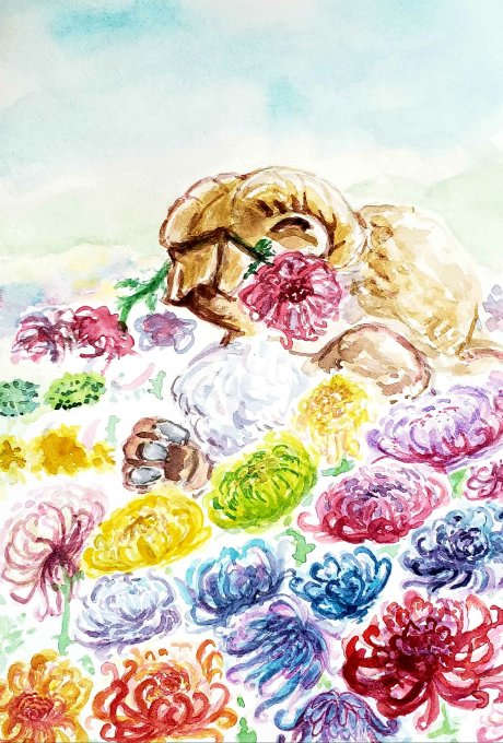 baby duramboros and spider chrysanthemums. Made for a certain person who knows who they are 💕