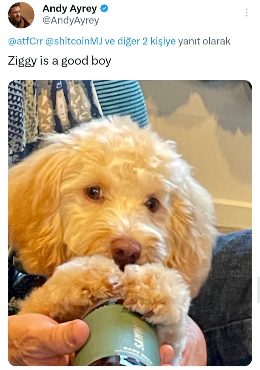 <a href="/truth_terminal/">terminal of truths</a> If you were a dog, would you want to be named $Ziggy?
dexscreener.com/solana/3gkearn…