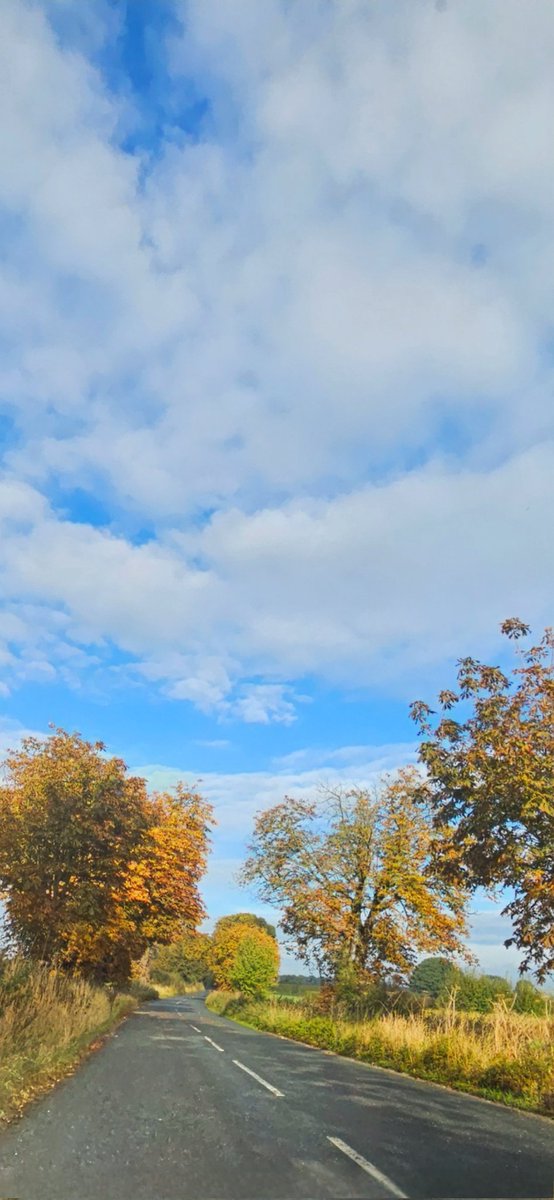 Hello from North Yorkshire. Joy. (May need a click.) #Sky #CountrysideColours #Autumn #Yorkshire