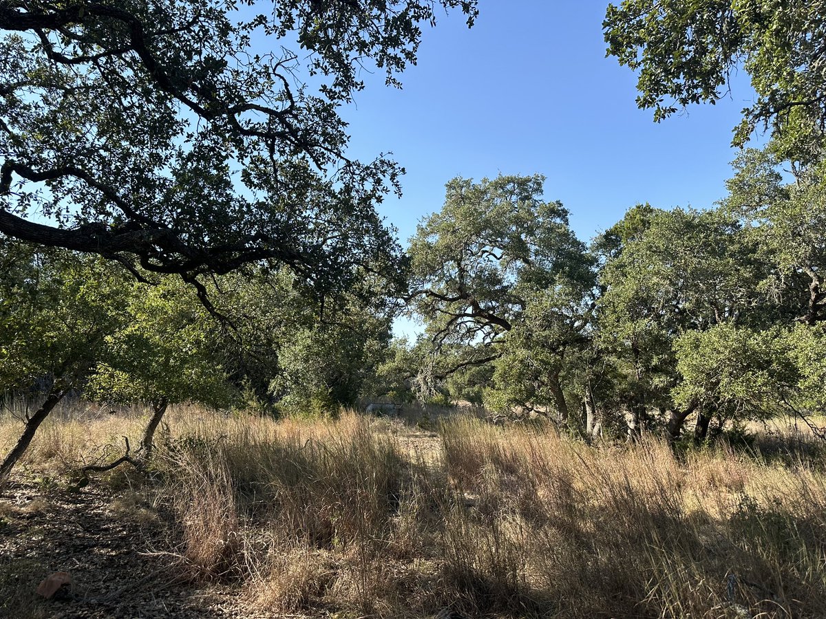 CassidyVercher's tweet photo. For sale!! Canyon Lake, TX https://t.co/wTix1l2lb0