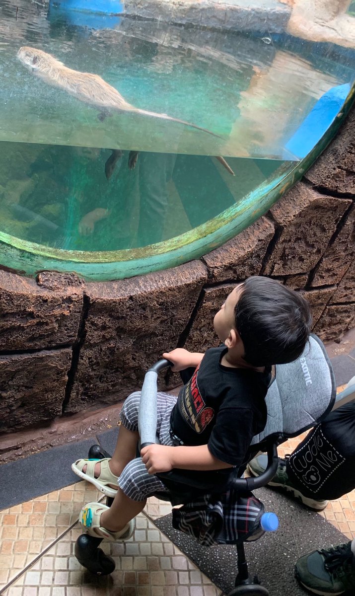 astinwidya's tweet photo. Ibra said "Maaa kalo ini Aku jijik Maa"...😅 https://t.co/ygGCjuAQSA