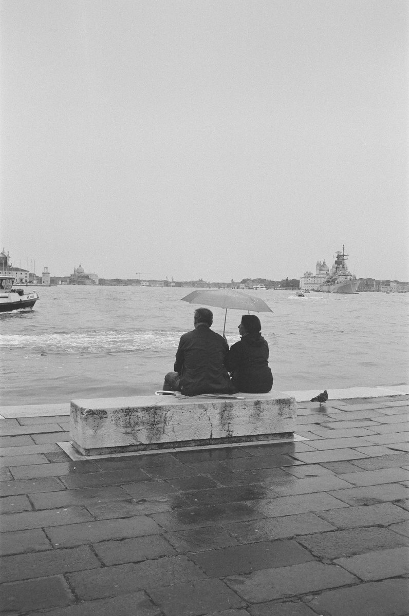 JoPlodocus 🦕🌐 tweet media