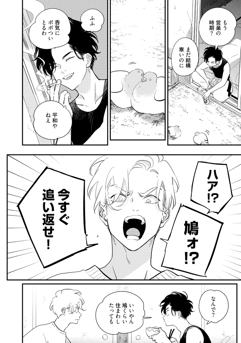 鳩のつがいともめるBL (1/7) 
