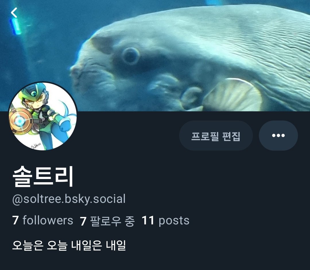 SolTree91's tweet image. 파란하늘은 이쪽