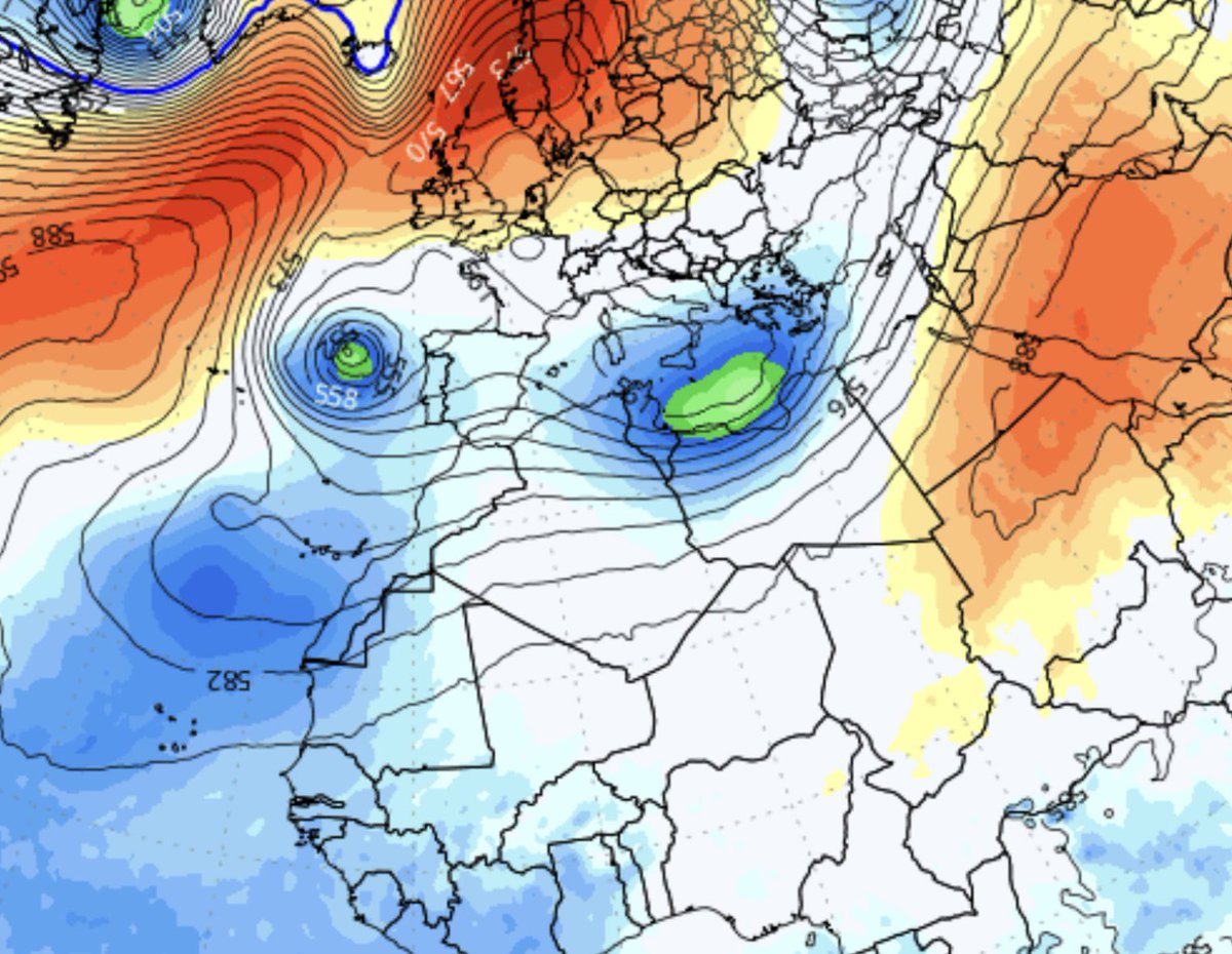 Rashid_Almethen tweet media