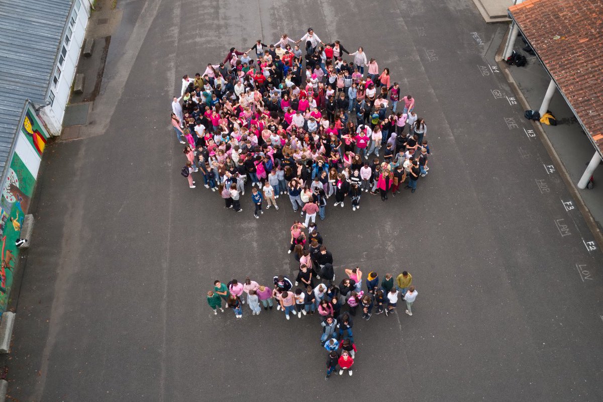 🎀 Journée spéciale au collège : Tous en rose pour soutenir la lutte contre le cancer du sein ! Ensemble, sensibilisons nos amis et familles à l’importance du dépistage💪 
#OctobreRose #TousEnRose #CollègeEnRose #Sensibilisation 🌸
<a href="/Celinebisson2/">Celine bisson</a> <a href="/DSDEN79/">DSDEN Deux-Sèvres</a> <a href="/acpoitiers/">Académie de Poitiers</a>