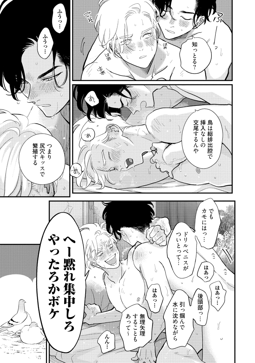 鳩のつがいともめるBL (3/7) 