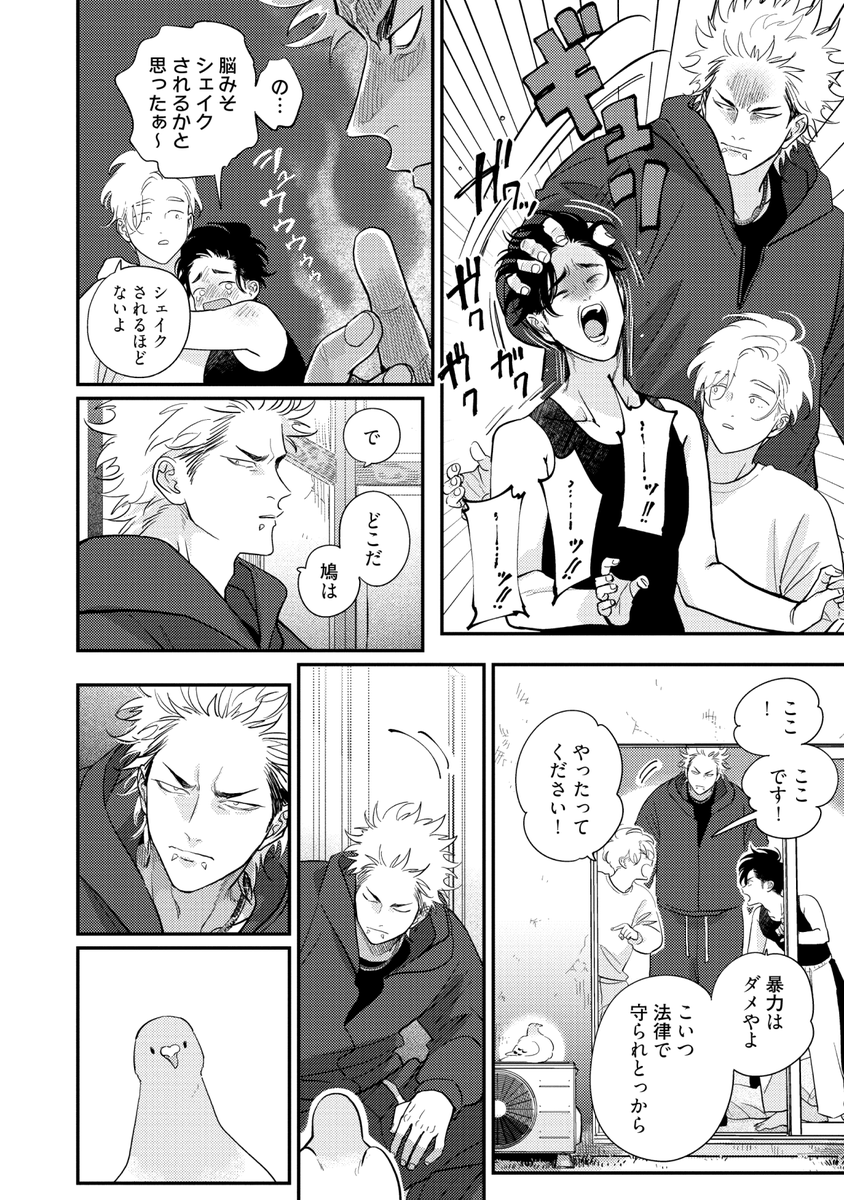 鳩のつがいともめるBL (4/7) 