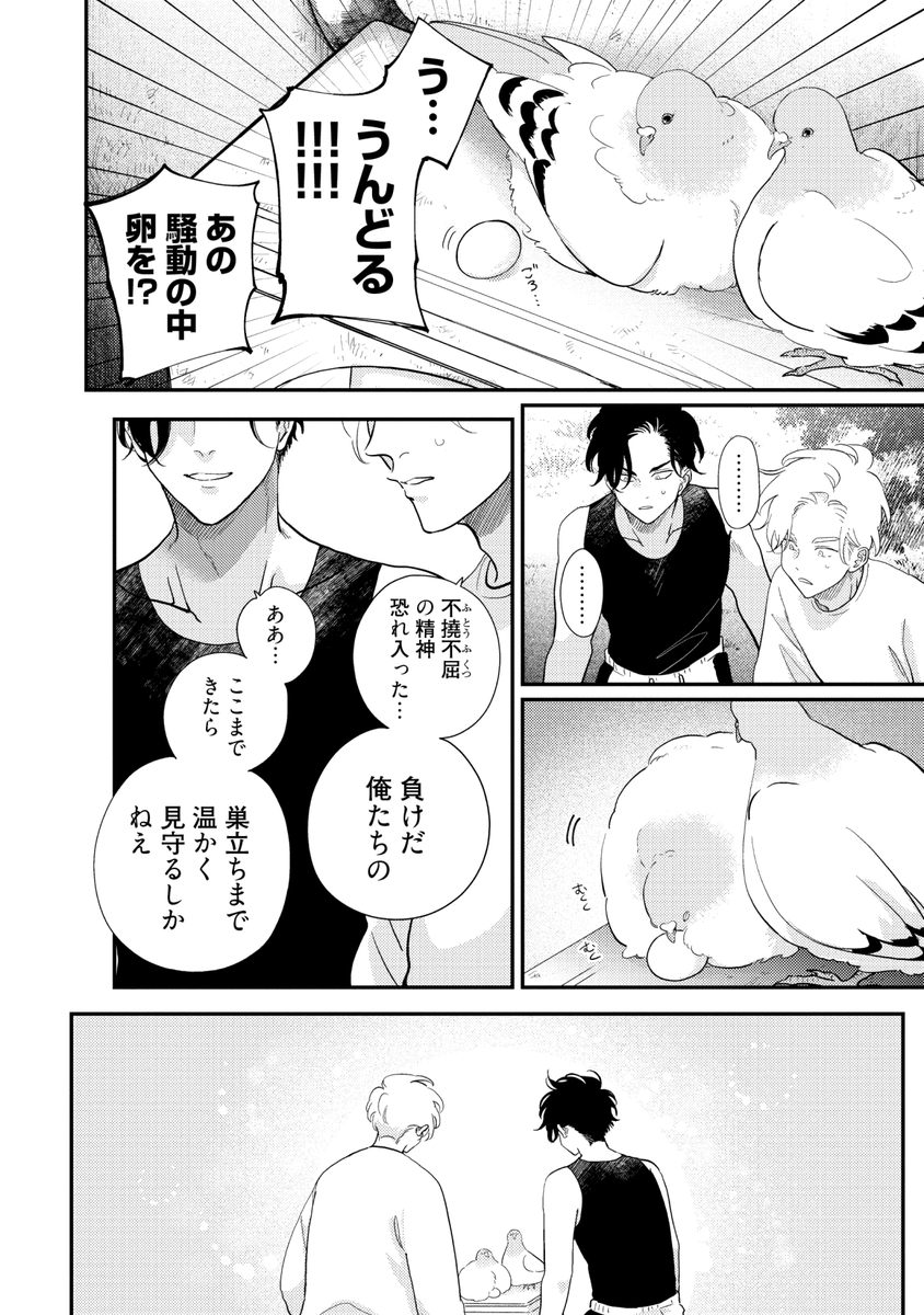 鳩のつがいともめるBL (5/7) 