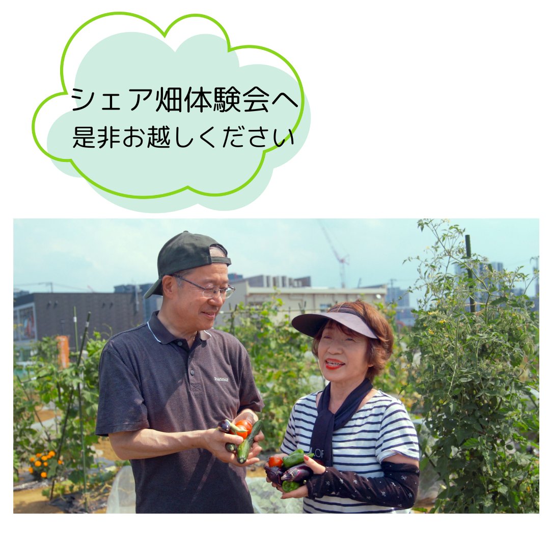 Sharebatake_'s tweet photo. 今週末は体験＆見学会開催
＼入会金50%OFFキャンペーン／
農園ではキャベツやブロッコリー、大根などの秋野菜がすくすく育ています！
週末は是非農園を見に来ませんか？
日常では味わえない、畑を楽しむ体験コンテンツをご用意しております。
詳細お申し込みはこちらhttps://t.co/8J7A1dDOFX https://t.co/tVqJNmlj4M