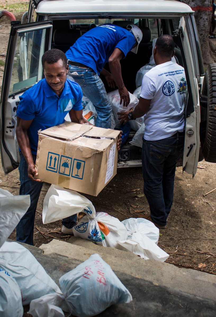 FSCluster's tweet photo. #WorldFoodDay #HAITI (1/3) Providing agricultural assistance, distributing seeds, tools, fertilizers, any support in the field directly supports #foodsecurity partners in guaranteeing the right to nutritious, safe, diverse foods https://t.co/XqXyrugl8j
@FAOHaiti https://t.co/WBAd8fgyVn