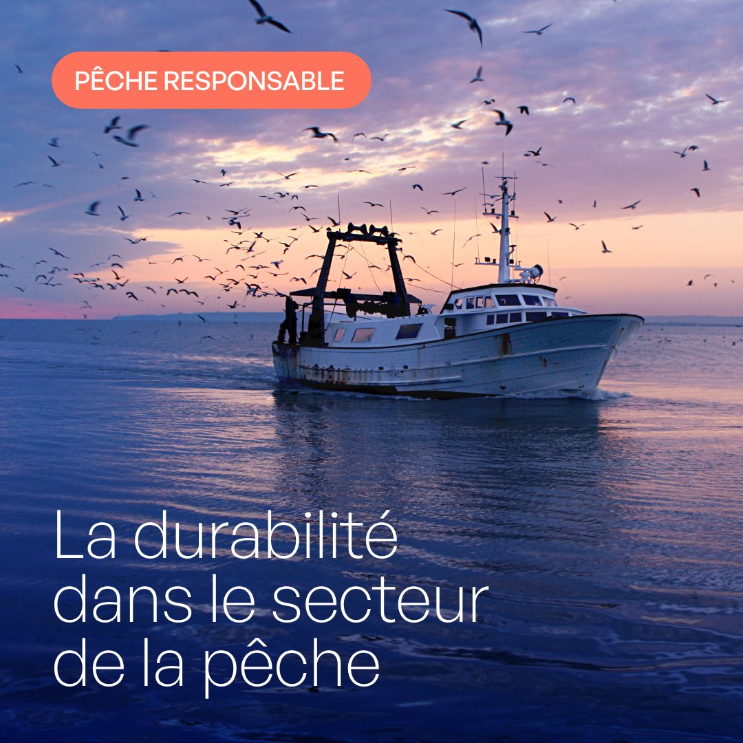 F_terredepeches's tweet photo. 🌊 Pêcheurs, scientifiques, pouvoirs publics : tous unis pour une pêche durable ! 
🌍 Les pêcheurs, en première ligne face au climat, nourrissent la France tout en préservant les océans. 
On avance ensemble 💪
👉 À lire ici : https://t.co/h0psqnXFAv https://t.co/NgpfATFHed
