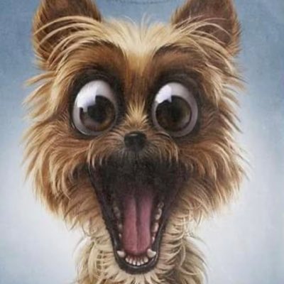 sid33100's tweet photo. #NewProfilePic https://t.co/AJSnzLK88i