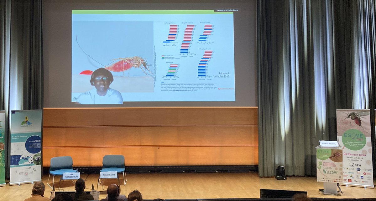 Jᴇʀᴏᴇɴ Sᴘɪᴛᴢᴇɴ (@anopheline) on Twitter photo I travelled all the way to #ESOVE # Montpellier to see my vector biology hero <a href="/Fredros_Inc/">Fredros Okumu</a> .., .. on screen !
Good example that you can give inspiring talks without adding tons to your CO2 footprint. 🦟 I travelled all the way to #ESOVE # Montpellier to see my vector biology hero <a href="/Fredros_Inc/">Fredros Okumu</a> .., .. on screen !
Good example that you can give inspiring talks without adding tons to your CO2 footprint. 🦟