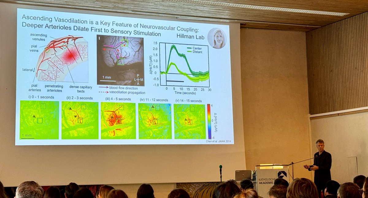 Day 3 opens with Prof. Martin Dichgans presenting groundbreaking updates on the genetic contributions (HTRA1; FOXF2) to small vessel disease and potential mechanisms for functional restoration. #CAAConference2024 #BrainHealth #Neurology