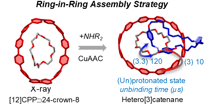 During my PhD with <a href="/mvdelius/">Delius Lab 🇪🇺🇺🇦</a>, we achieved the first CPP-based rotaxane. Six years later, in the first paper from my own group, we report the synthesis of a CPP hetero[3]catenane using a ring-in-ring assembly approach <a href="/nanohoops/">The Jasti Laboratory</a> . <a href="/ChemRxiv/">ChemRxiv</a> . chemrxiv.org/engage/chemrxi…