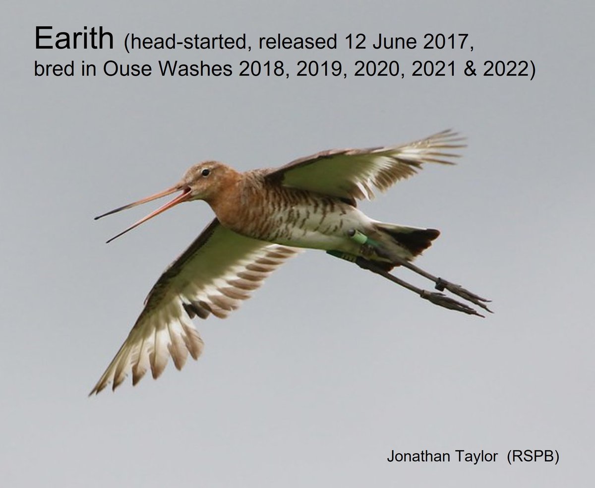 Graham Appleton tweet media