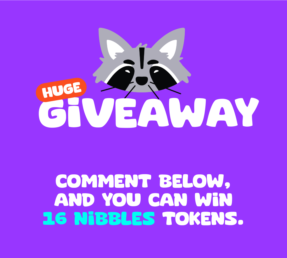 Nibbles The Racoon tweet media