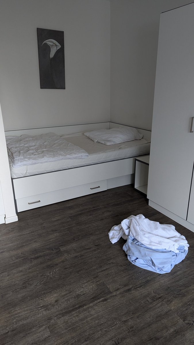 Kibax 🌺 tweet media