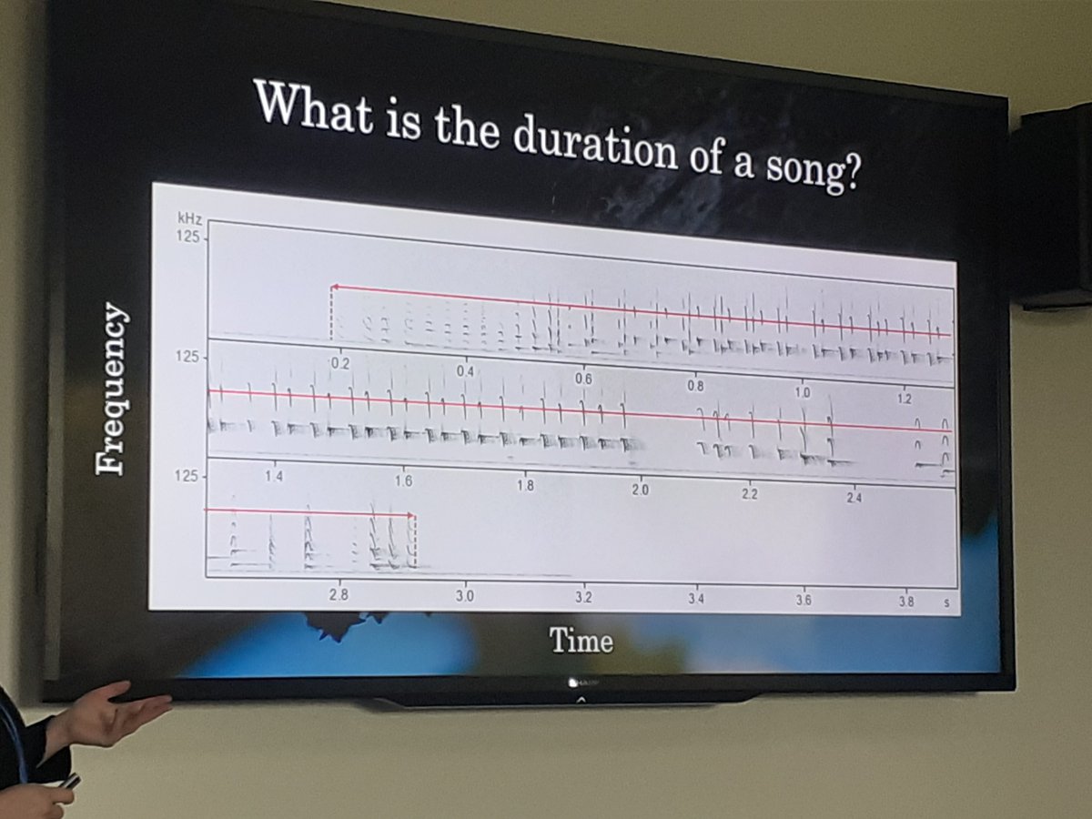 DZG section Behavioural Biology tweet media