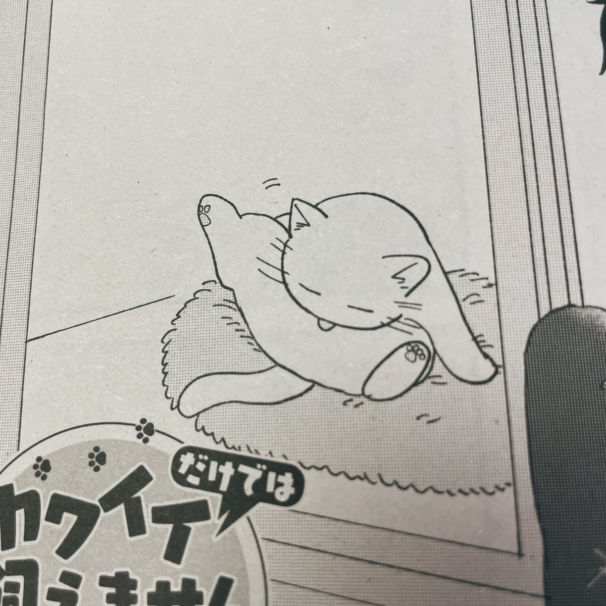 そして最新話はまんがホームさんに掲載されています。見かけたらよろしくお願いします。 