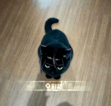 起因是叉烧老师发了我特别像少年的猫（推卸责任）