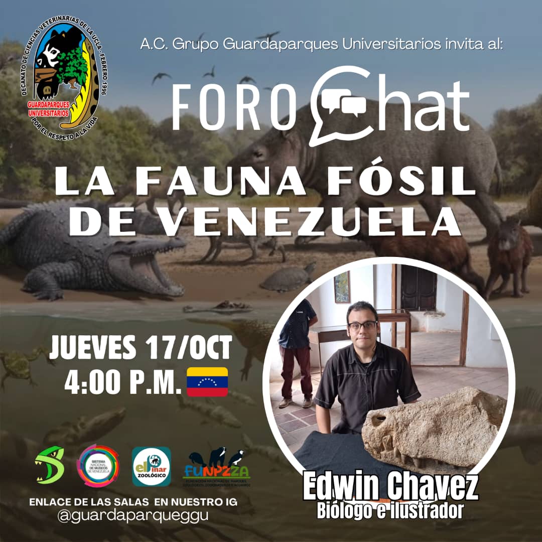 disfrasaurio's tweet photo. LA FAUNA FÓSIL DE VENEZUELA, será el súper interesante tema que conoceremos este JUEVES 17 de octubre en un nuevo FOROCHAT de la Asociación Civil de @GuardaparqueGGU, para ingresar al grupo debe acceder al siguiente enlace: https://t.co/TFEcWTYqwr https://t.co/MPcumqvTPZ