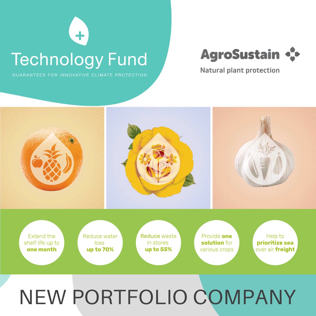 tech_fund's tweet image. 🎉 Congratulations to our new portfolio company @AgroSustain SA. The @Tech_Fund wishes @OlgaDubey and her team lots of success.
 AgroSustain SA develops and commercializes natural and biological treatments. Their edible coating can significantly help reduce waste.