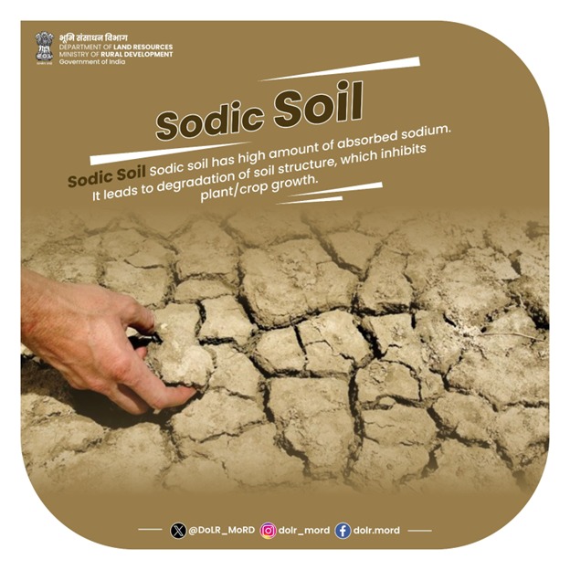 DoLR_MoRD's tweet photo. Sodic soil have sodium overload, which results in nutrient imbalance. It affects agricultural productivity and is harmful for biodiversity.
#DoLR #TypesOfSoil #SaveSoil #ConserveSoil #SoilImbalance #Biodiversity #WDCPMKSY https://t.co/5ZhlZj8Ni9