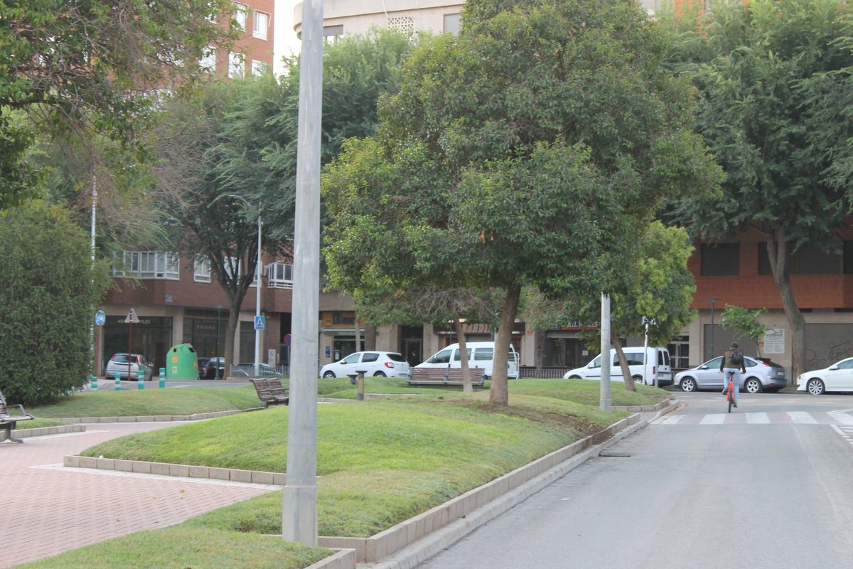▶️Los árboles 🌳🌳🌳pueden bajar la temperatura entre 4 y 6 grados según su ubicación...Un árbol adulto absorbe 10-30 kg. de CO2 al año.

🗓️Este DOMINGO 12,30 de la mañana 🕕en <a href="/CMM_es/">Castilla-La Mancha Media</a> 📺 CIUDADES SOSTENIBLES, SALUD Y CALIDAD DE VIDA

<a href="/AlbaceteMas/">Plataforma Más Árboles Albacete</a> <a href="/Plataformaab30/">Plataforma Albacete 30</a> <a href="/CiudadesCaminan/">Ciudades que Caminan</a>