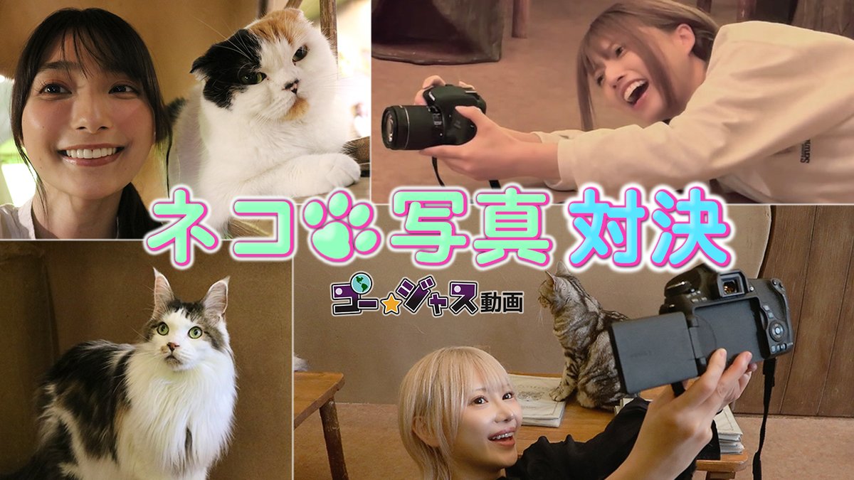 ゴー☆ジャス動画 tweet media