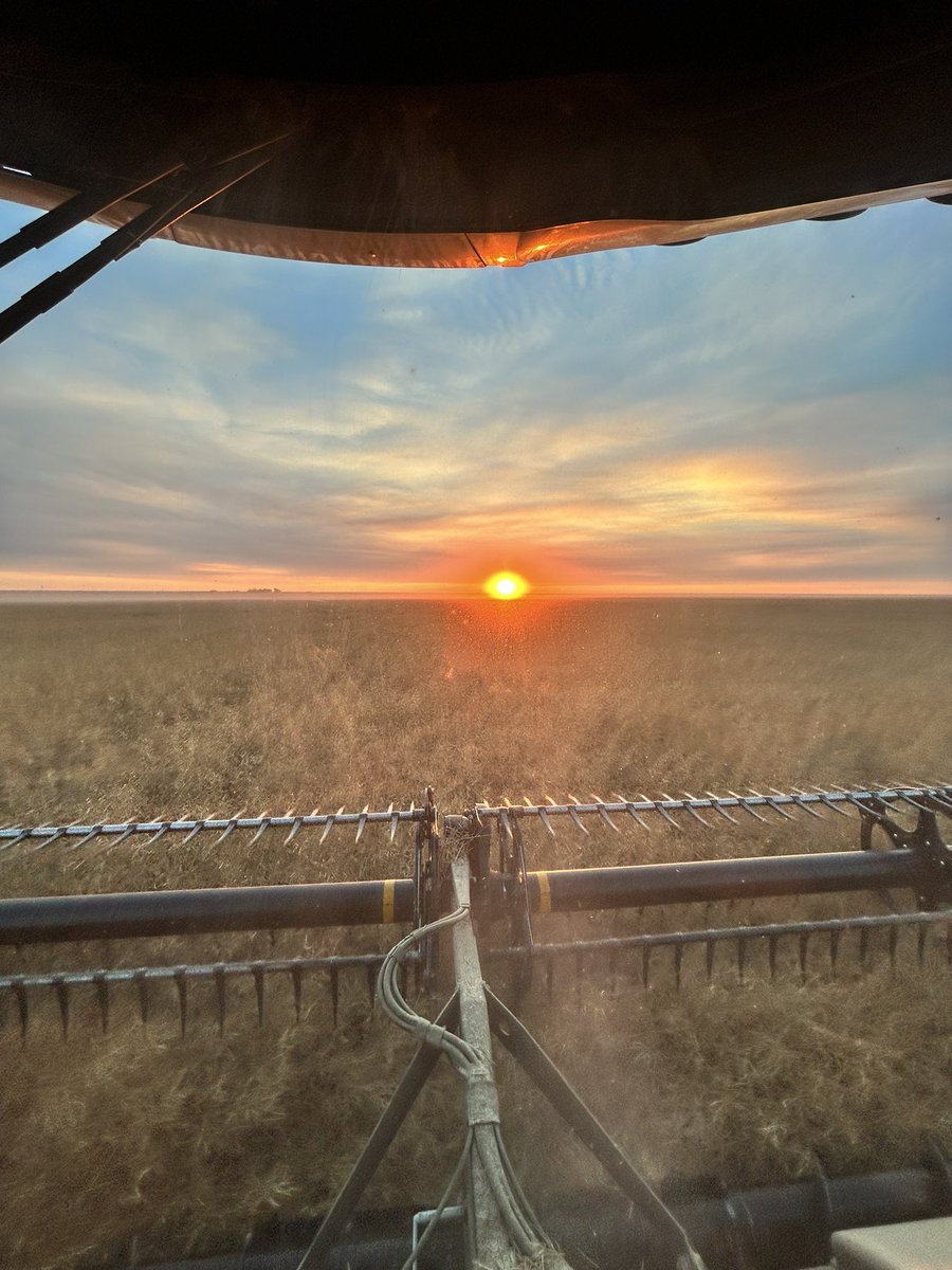 Harvest finally complete. Was a long run, relatively problem free! Bins were all full for the first time since we bought the farm!  Last few days were a challenge!