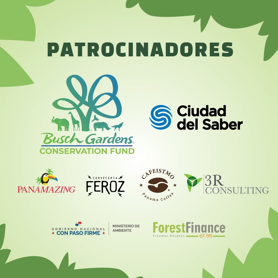 APPC_Panama's tweet photo. #slothday #appcpanama 
Sábado 19 de octubre 👉
Día Internacional del Perezoso 🦥
Evento familiar gratuito desde las 10:00 am hasta las 4:00 pm 
No pierdas la oportunidad  de conocer a Ron y Rita, 2 Perezoso  de 2 dedos junto al inolvidable personaje de la Mascara el "PérezOso" https://t.co/WDM7TezXRt