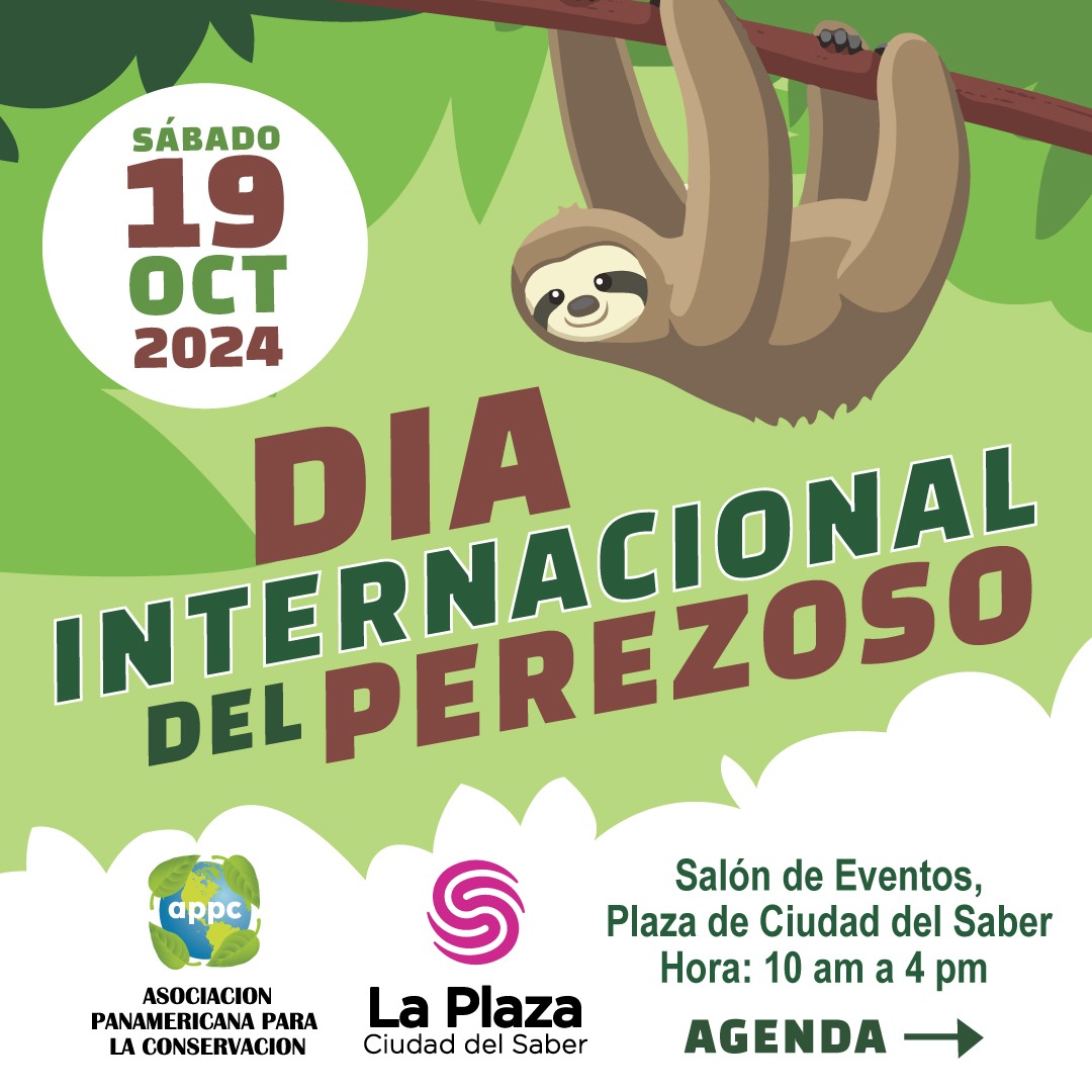 APPC_Panama's tweet photo. #slothday #appcpanama 
Sábado 19 de octubre 👉
Día Internacional del Perezoso 🦥
Evento familiar gratuito desde las 10:00 am hasta las 4:00 pm 
No pierdas la oportunidad  de conocer a Ron y Rita, 2 Perezoso  de 2 dedos junto al inolvidable personaje de la Mascara el "PérezOso" https://t.co/WDM7TezXRt