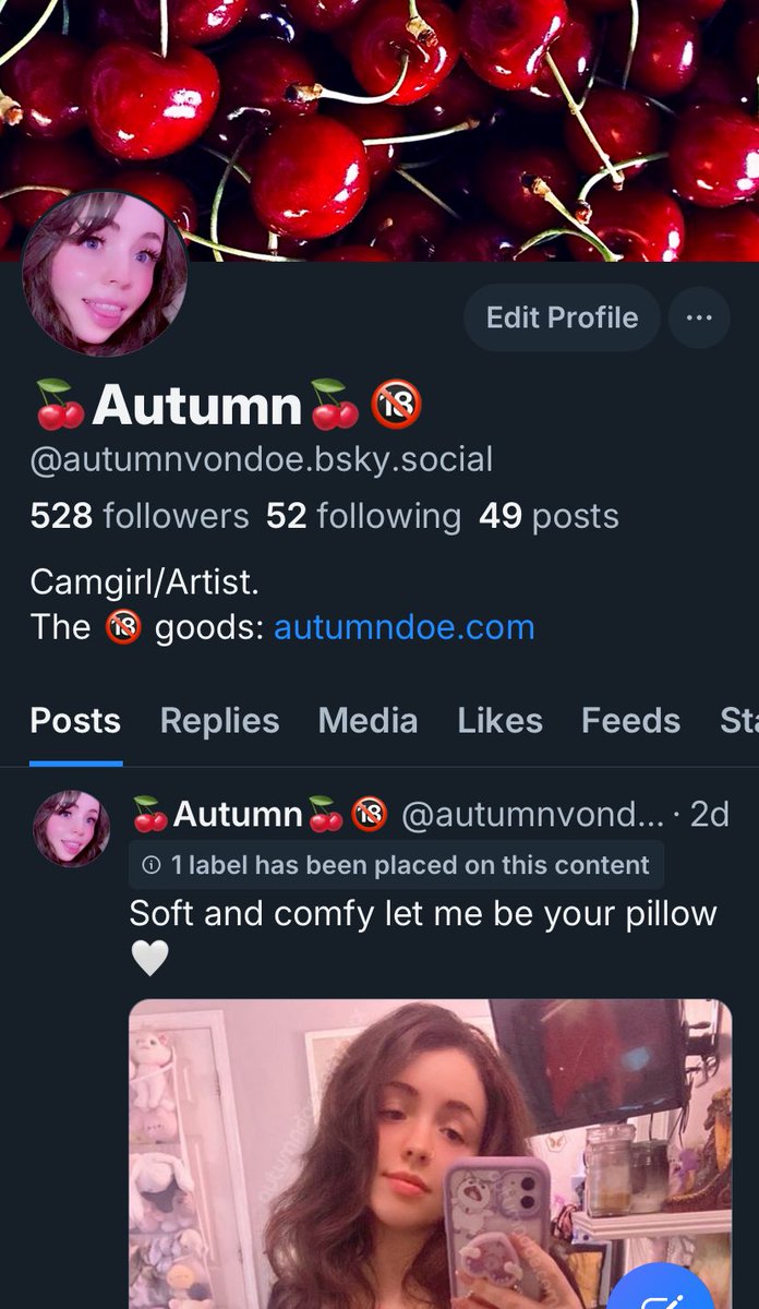 Add me on 💙☁️🦋 I might not be as active if this inability to block goes through. I have stalkers blocked on here. So I’m not happy haha so go follow on bsky