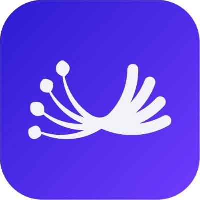 534N1C0N's tweet photo. Here's the reasons why you should join Dill !!

1). Dill, a modular network focused on scalable data availability, successfully completed its pre-seed funding round in July 2024. https://t.co/JltOFT7G8d