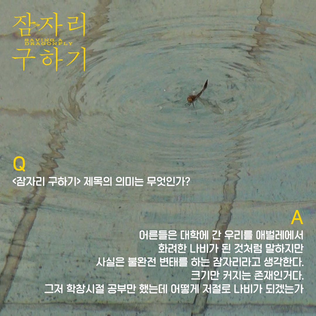 <잠자리 구하기> 홍다예 감독과의 Q&A 제목의 의미부터 영화에 담긴 감정과 시간, 그리고 영화라는 매체에 대한 생각까지! <잠자리 구하기> 절찬상영...