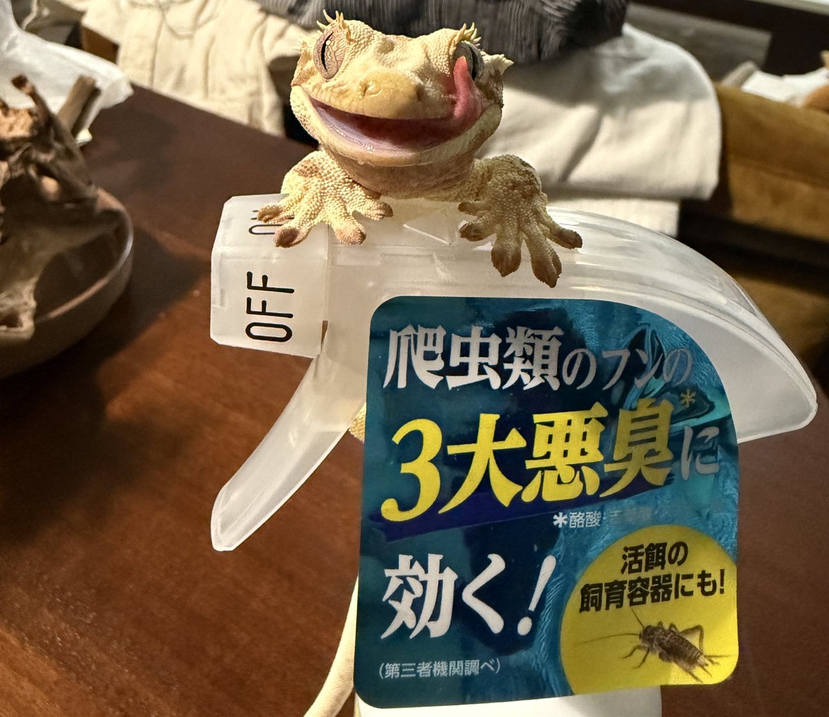 gechonikki's tweet photo. 消臭スプレーのCMお待ちしてます https://t.co/7ildJD1nq5
