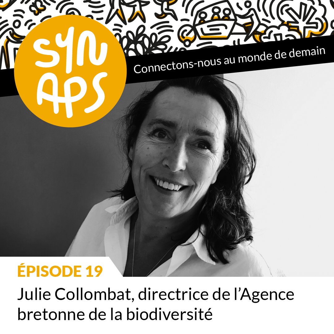 🎤 Synaps #19 à la rencontre de Julie Collombat , directrice de l'Agence Bretonne de la Biodiversité   👀
#Synaps, le podcast pour se connecter au monde de demain, à écoutez ici :
👉 zurl.co/RbX8 

#Engagement #Impact #Transformation #Bretagne