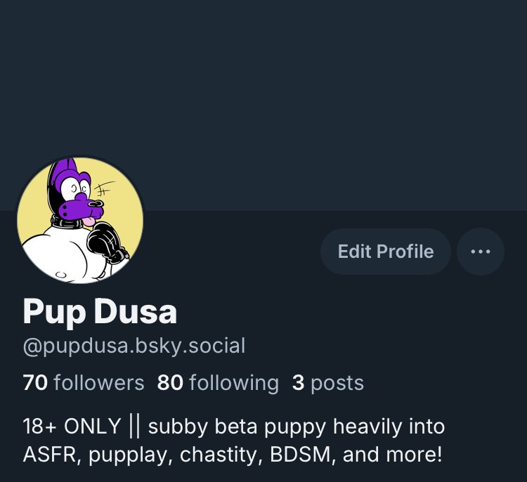 Pup Dusa 🐶🩶 (@PupDusa) / Posts / X
