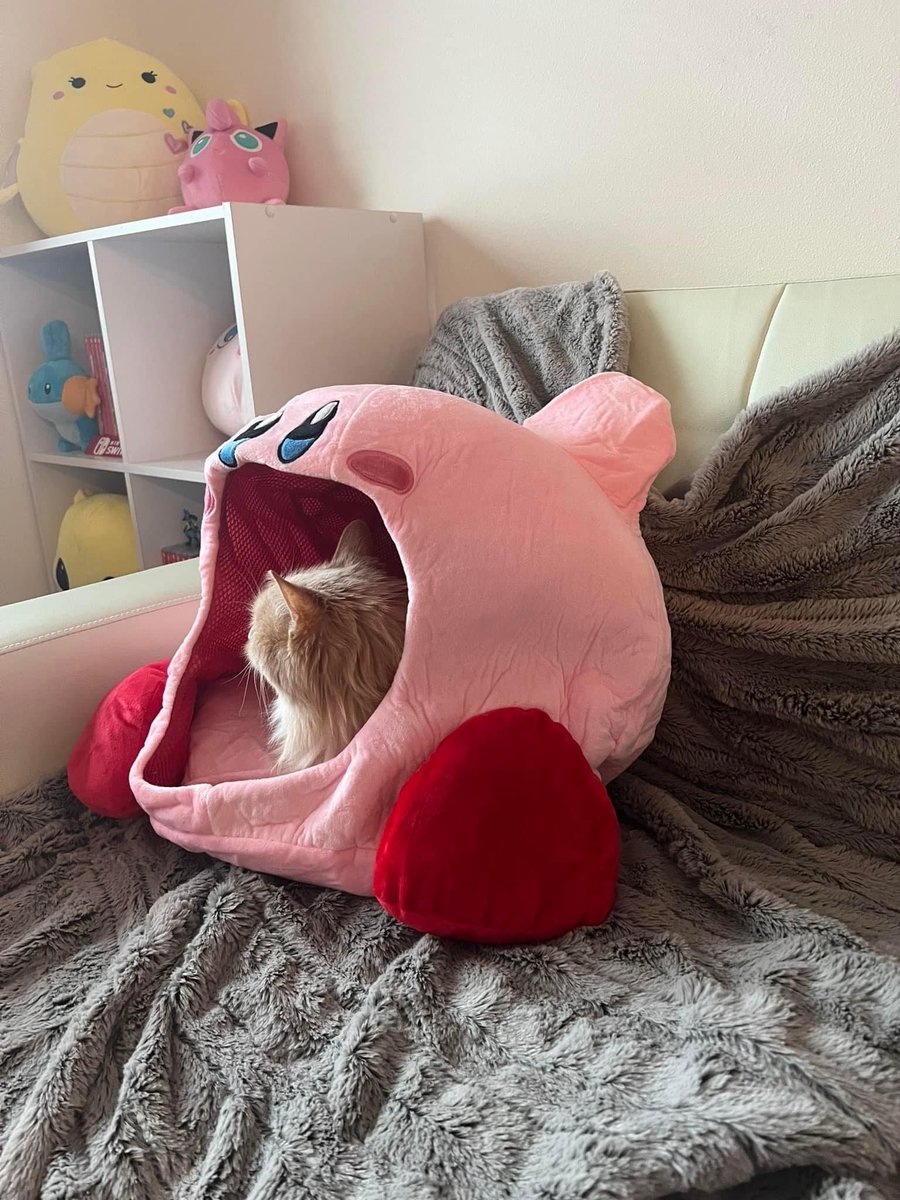 giggly ♡ tweet media