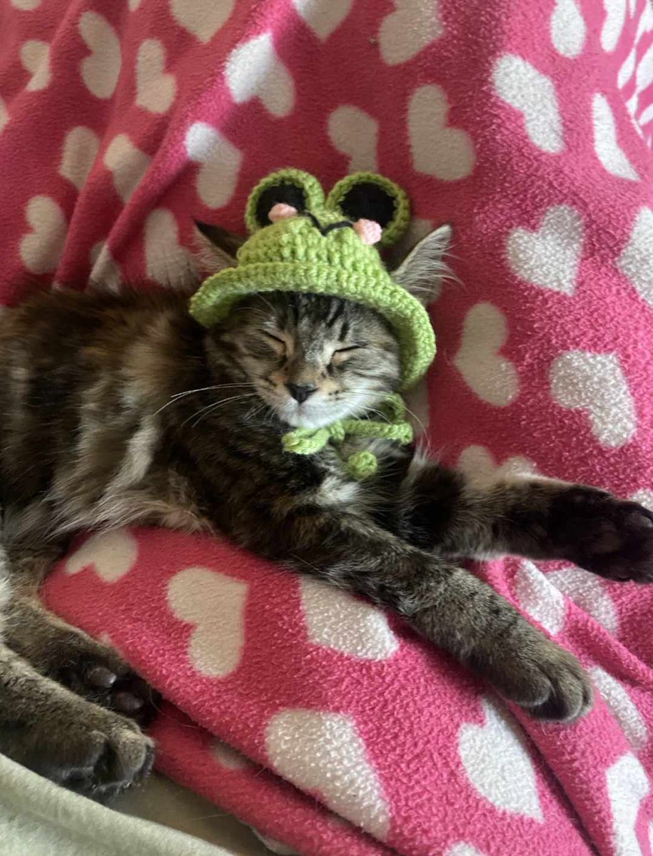 Layne Ngatai-Stokes | Technical Artists tweet media