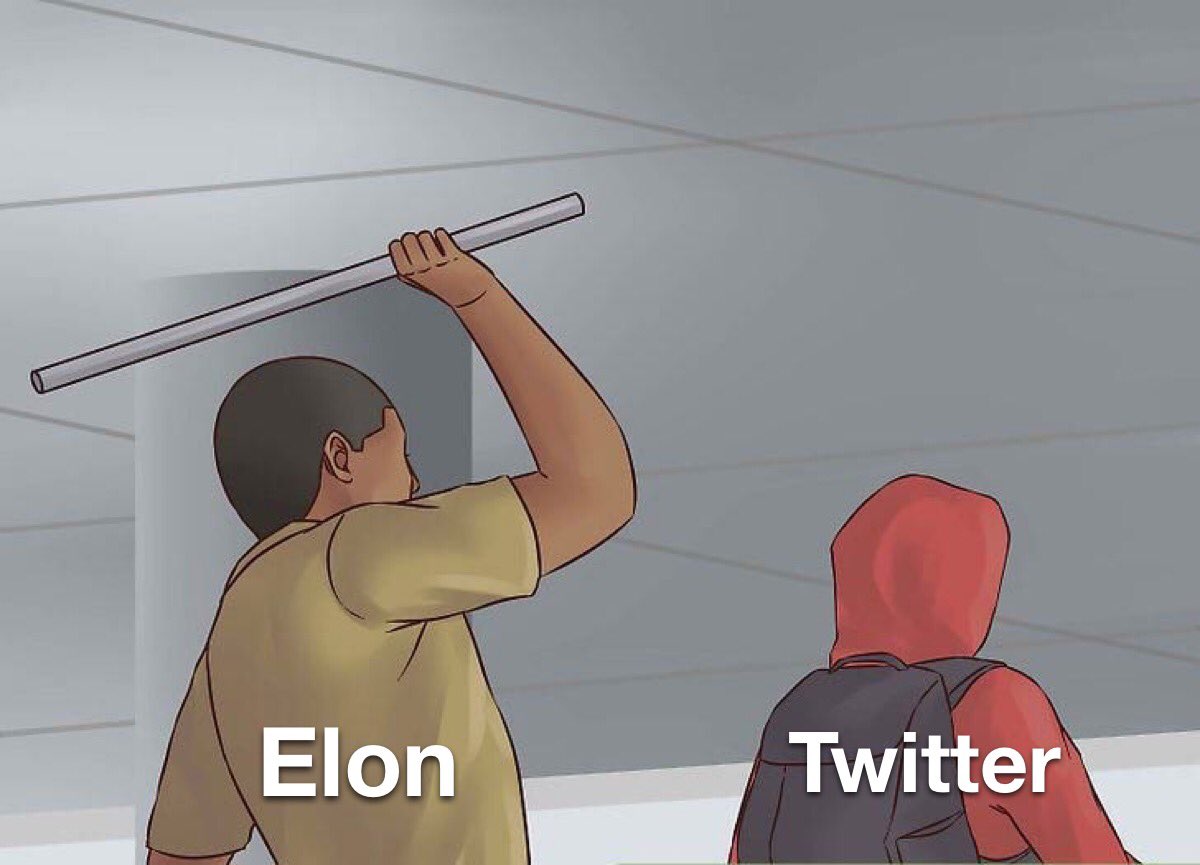 19Nimbus's tweet photo. #blockfunction #elon https://t.co/57GS0jeVqO