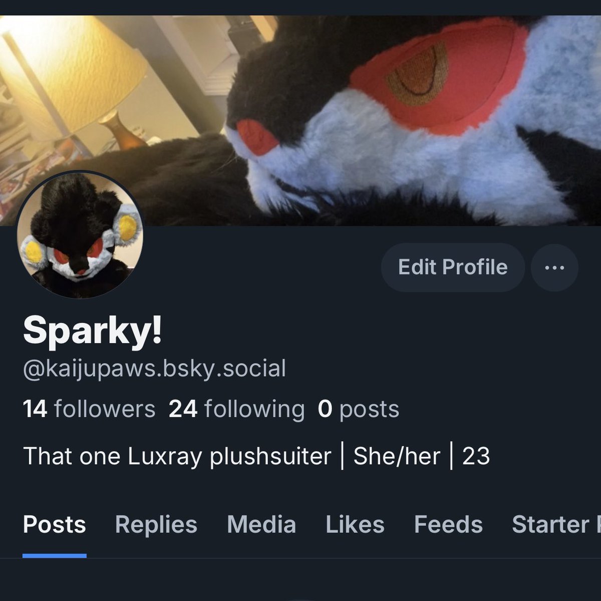 delphoxyy_'s tweet image. Just in case, here’s my 🔵☁️